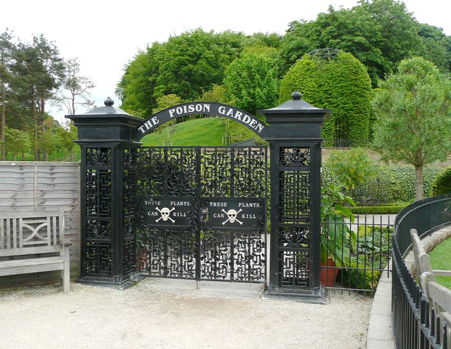 The Poison Garden at Alnwick Castle